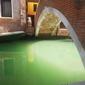 The Secret Garden In The Very Heart Of Venecia